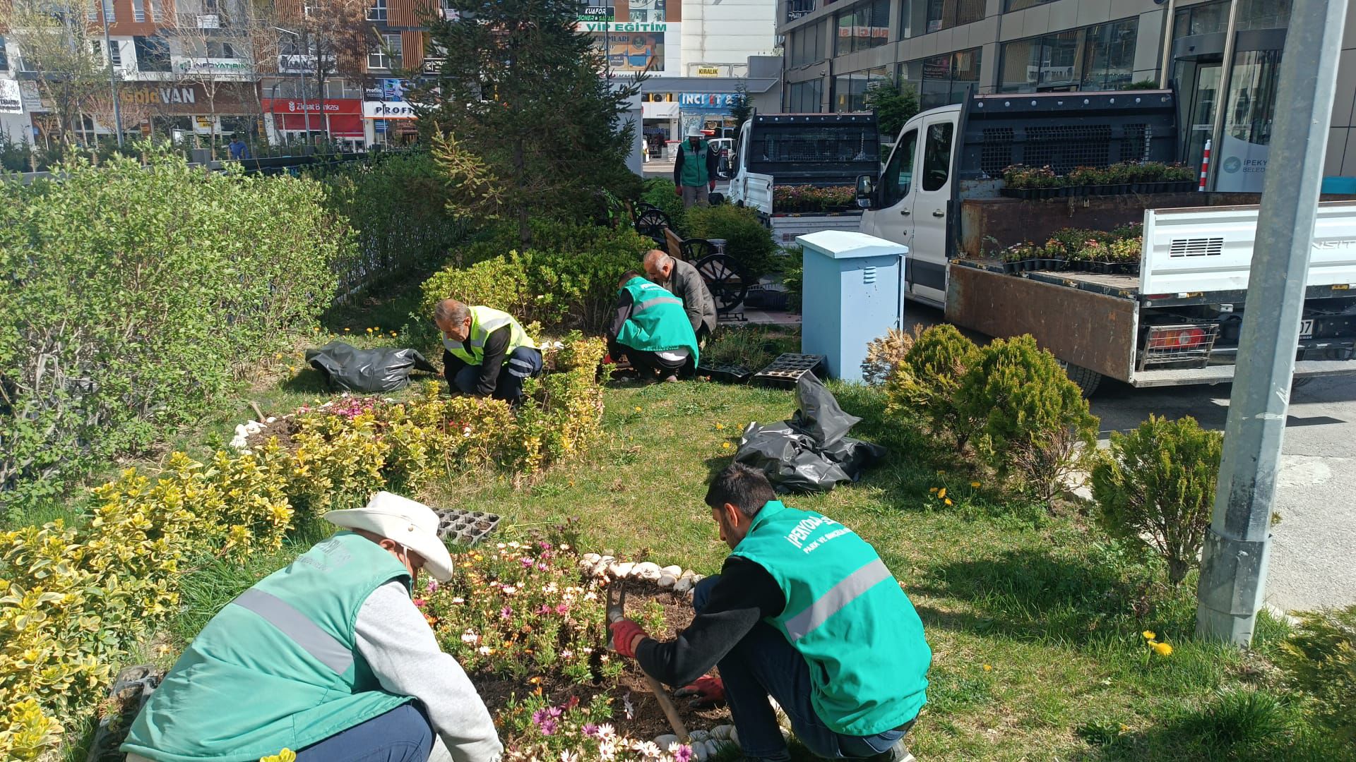 İpekyolu belediyesi yeşil Van için hummalı çalışma