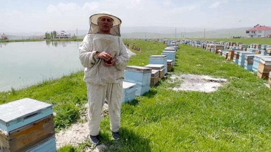 30 kovanla başladı 600 kovana ulaştı 