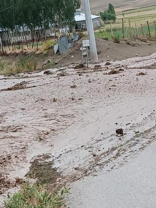 Van’da Yıldırım düşmesi sonucu 1 kişi öldü