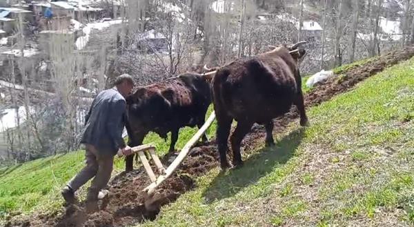 Bahçesaray'da yazı ayrı dert, kışı ayrı  dert