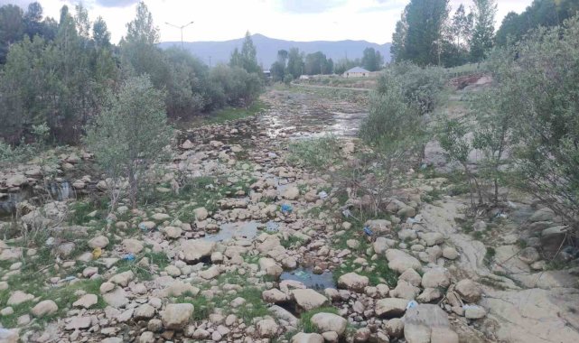 Bendi Mahi Çayı Kurudu; Balıklar Van Gölüne Ulaşamıyor