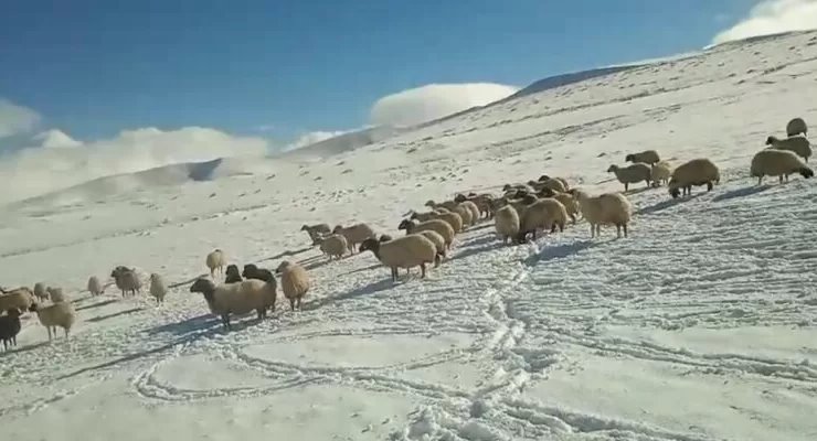 Doğu’da yüksek kesimler beyaza büründü