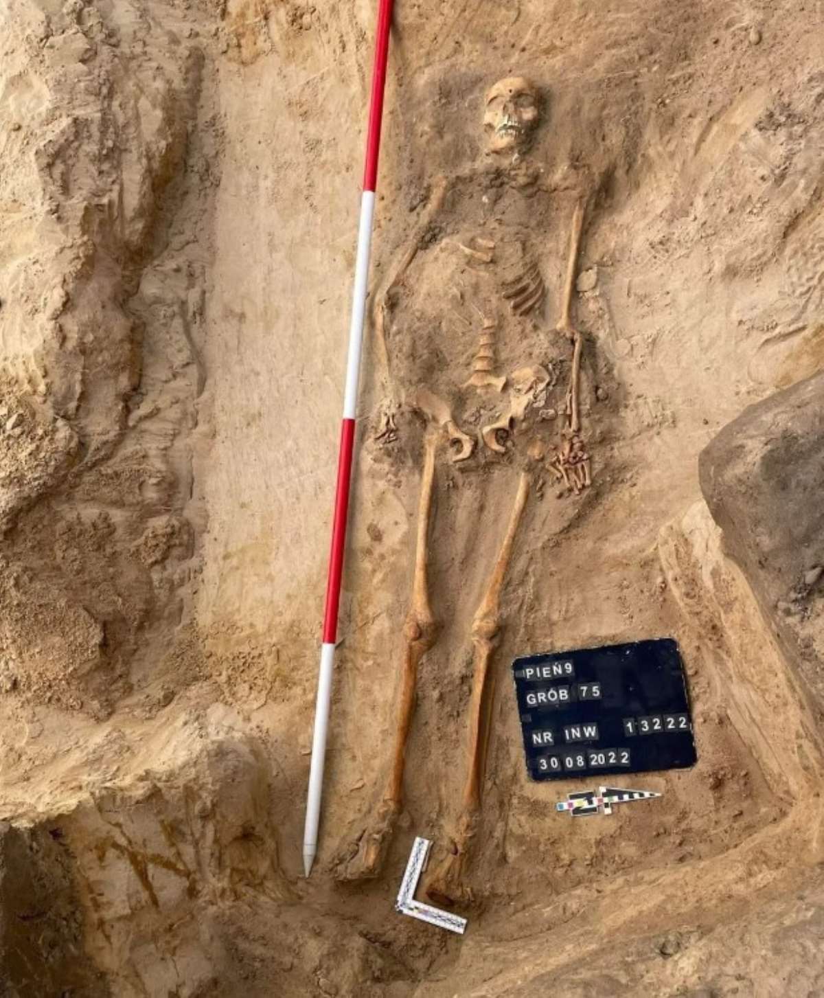 Vampir' mezarlığı bulundu